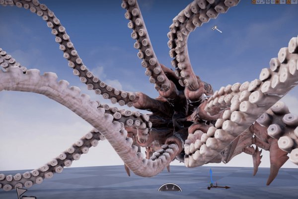 Kraken onion vtor run