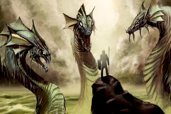 Kraken forum