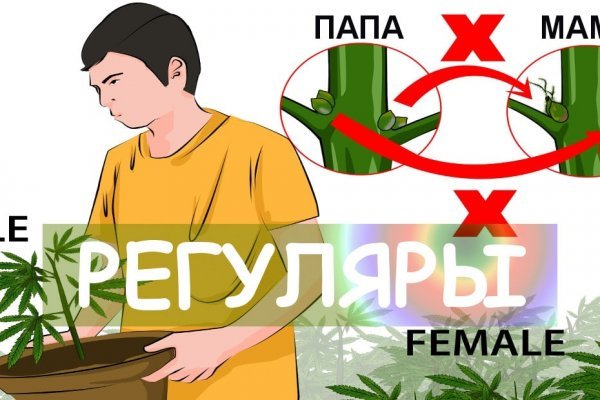 Кракен наркокортель