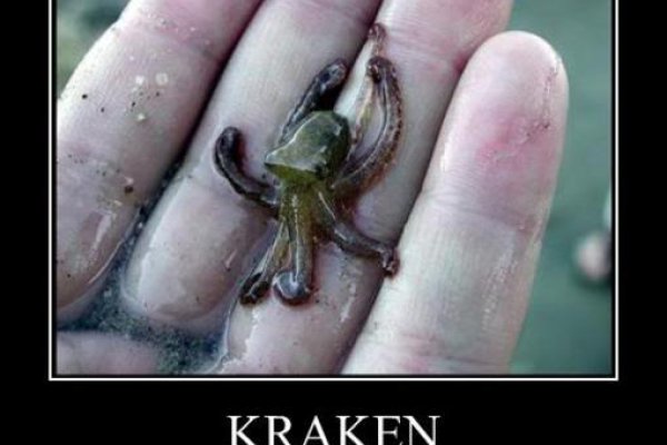 Kraken магазин